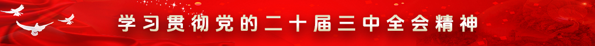 學習貫徹黨的二十屆三中全會精神